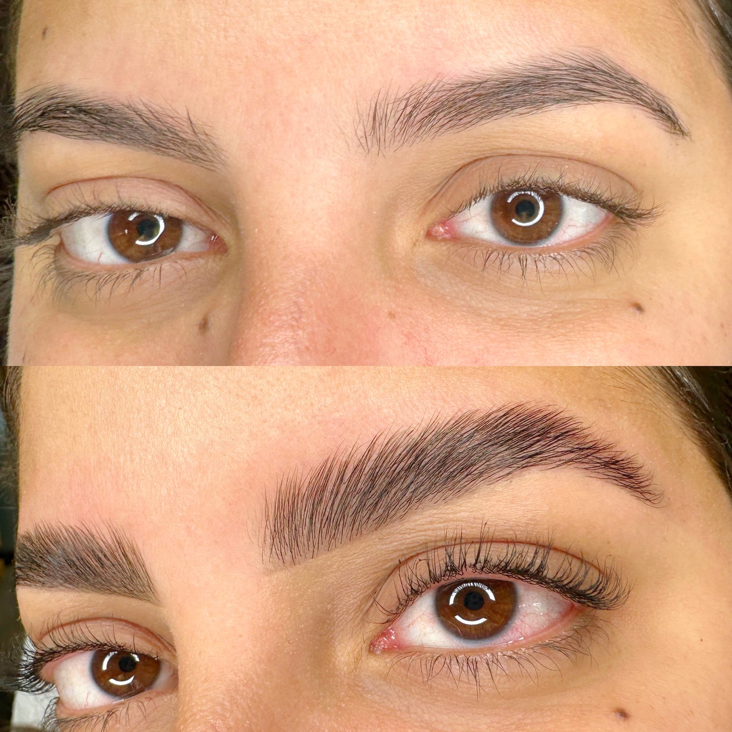 Clase de laminación de cejas